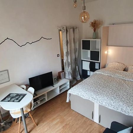 Studio Lumineux Au Centre Ville 바네르드비고르 외부 사진